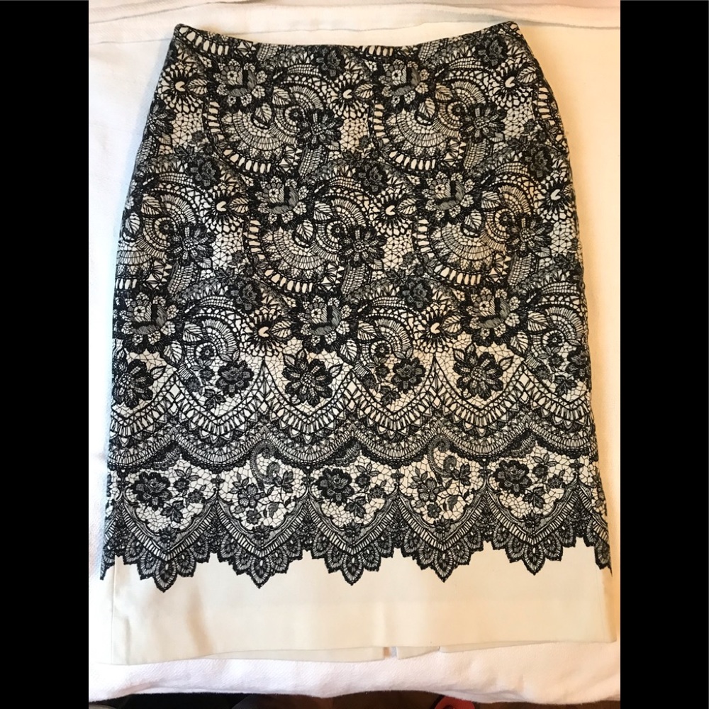 Talbots Embroidered Print Skirt